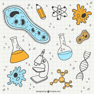 cursosbiologicos2do